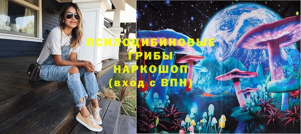 прущие грибы Бугульма