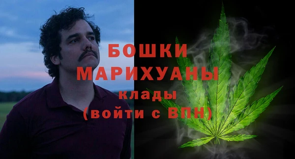 прущие грибы Бугульма