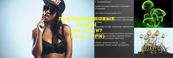 прущие грибы Бугульма