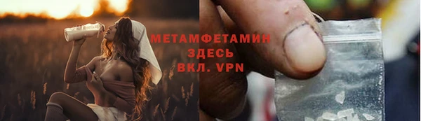 прущие грибы Бугульма