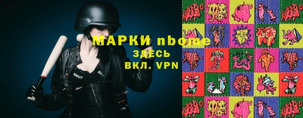 прущие грибы Бугульма