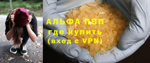 прущие грибы Бугульма