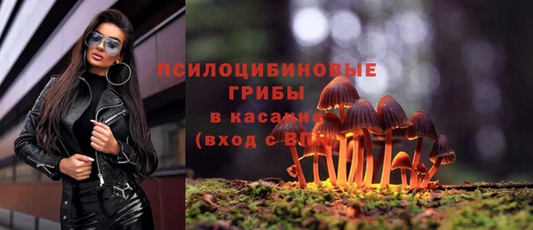 герыч Бородино